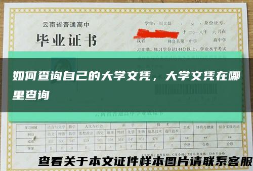 如何查詢自己的大學文憑，大學文憑在哪里查詢縮略圖