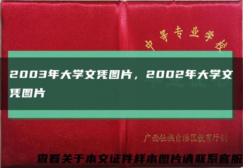 2003年大學文憑圖片，2002年大學文憑圖片縮略圖