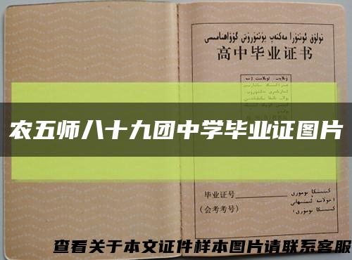 農五師八十九團中學畢業證圖片縮略圖