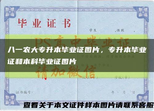 八一農大專升本畢業證圖片，專升本畢業證和本科畢業證圖片縮略圖