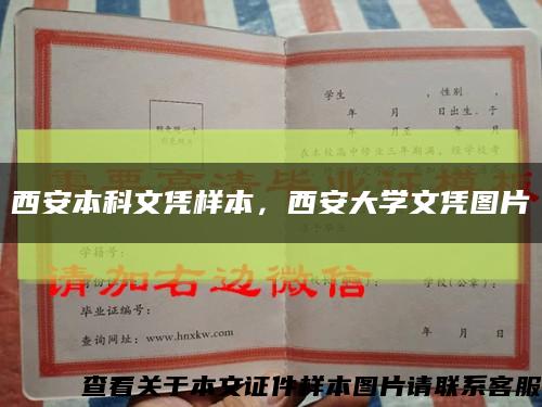 西安本科文憑樣本，西安大學文憑圖片縮略圖