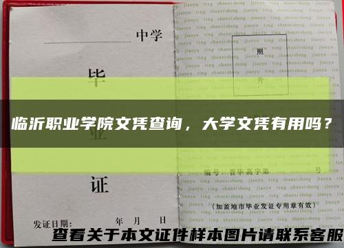 臨沂職業學院文憑查詢，大學文憑有用嗎？縮略圖