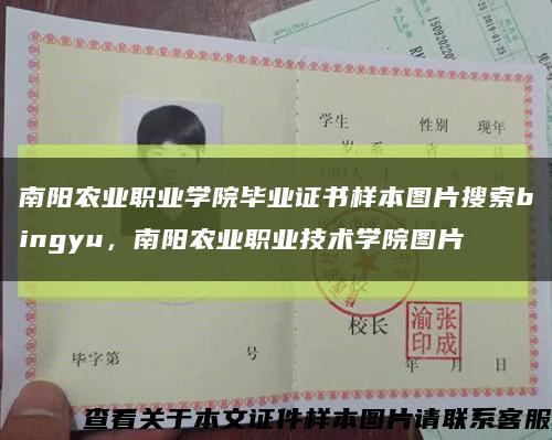 南陽農業職業學院畢業證書樣本圖片搜索bingyu，南陽農業職業技術學院圖片縮略圖