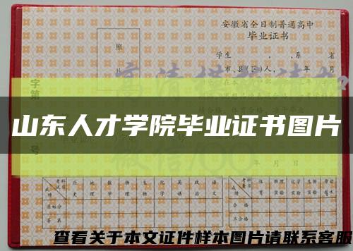 山東人才學院畢業證書圖片縮略圖