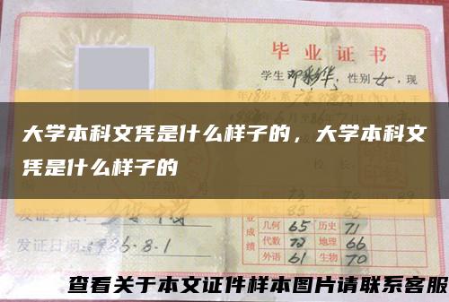 大學本科文憑是什么樣子的，大學本科文憑是什么樣子的縮略圖
