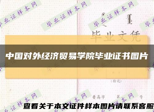 中國對外經濟貿易學院畢業證書圖片縮略圖