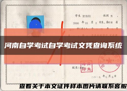 河南自學考試自學考試文憑查詢系統縮略圖