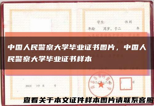 中國人民警察大學畢業證書圖片，中國人民警察大學畢業證書樣本縮略圖