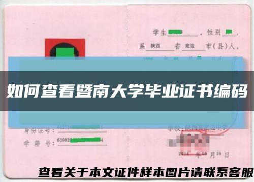 如何查看暨南大學畢業證書編碼縮略圖