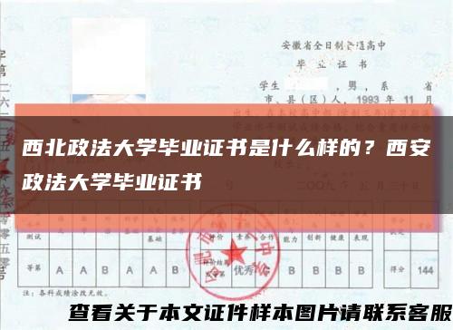 西北政法大學畢業證書是什么樣的？西安政法大學畢業證書縮略圖