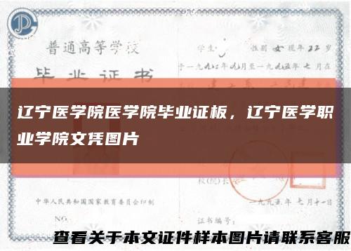 遼寧醫學院醫學院畢業證板，遼寧醫學職業學院文憑圖片縮略圖