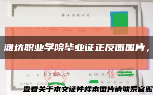 濰坊職業學院畢業證正反面圖片，縮略圖