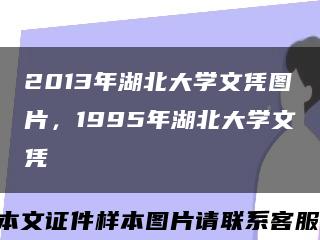 2013年湖北大學文憑圖片，1995年湖北大學文憑縮略圖
