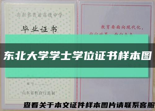 東北大學學士學位證書樣本圖縮略圖