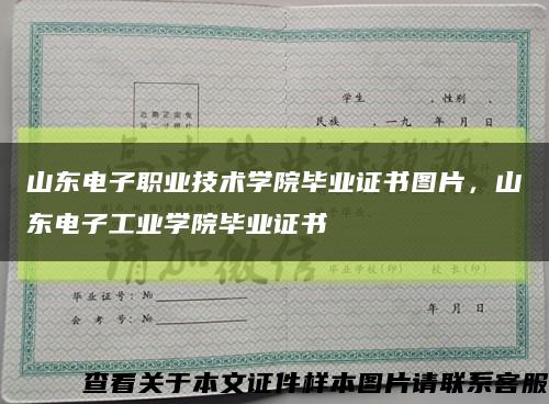 山東電子職業技術學院畢業證書圖片，山東電子工業學院畢業證書縮略圖