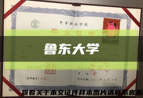 魯東大學縮略圖
