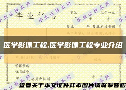 醫學影像工程,醫學影像工程專業介紹縮略圖