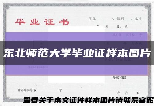 東北師范大學畢業證樣本圖片縮略圖