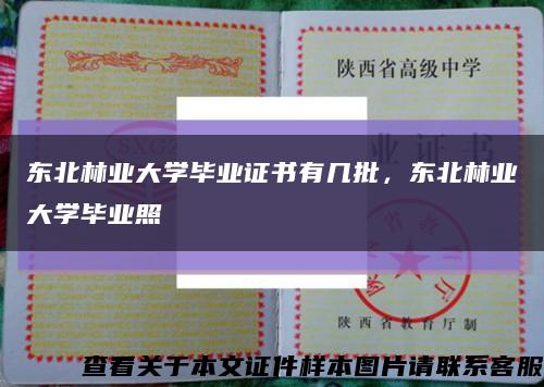 東北林業大學畢業證書有幾批，東北林業大學畢業照縮略圖
