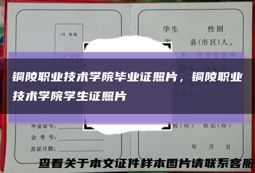 銅陵職業技術學院畢業證照片，銅陵職業技術學院學生證照片縮略圖
