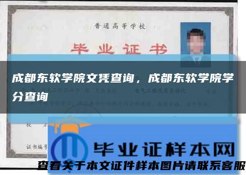 成都東軟學院文憑查詢，成都東軟學院學分查詢縮略圖