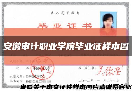 安徽審計職業學院畢業證樣本圖縮略圖