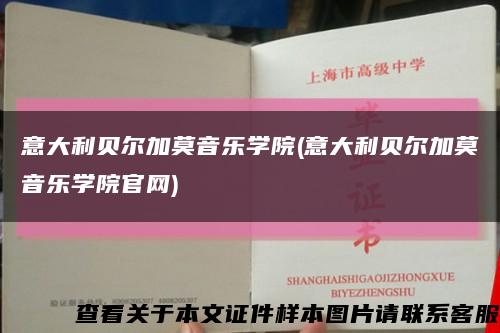 意大利貝爾加莫音樂學院(意大利貝爾加莫音樂學院官網)縮略圖