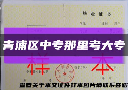 青浦區中專那里考大?？s略圖