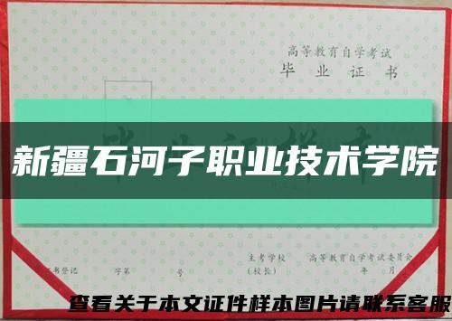 新疆石河子職業技術學院縮略圖