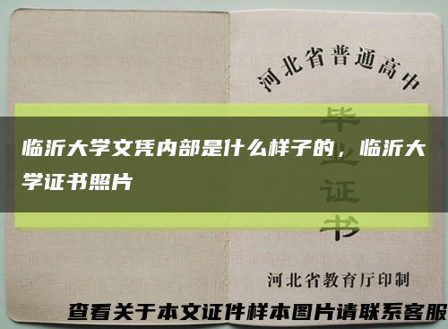 臨沂大學文憑內部是什么樣子的，臨沂大學證書照片縮略圖