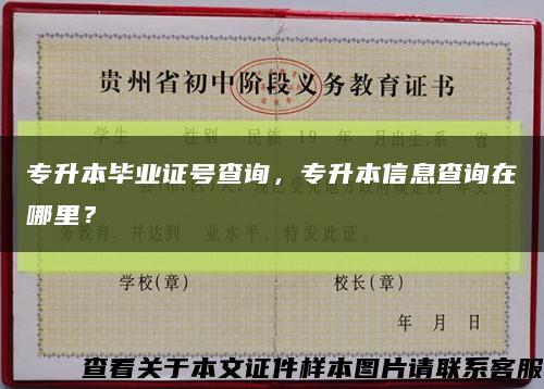 專升本畢業證號查詢，專升本信息查詢在哪里？縮略圖
