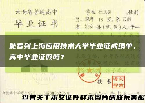 能看到上海應用技術大學畢業證成績單，高中畢業證假嗎？縮略圖