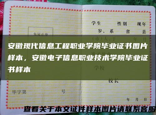 安徽現代信息工程職業學院畢業證書圖片樣本，安徽電子信息職業技術學院畢業證書樣本縮略圖