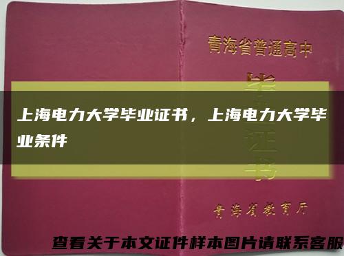 上海電力大學畢業證書，上海電力大學畢業條件縮略圖