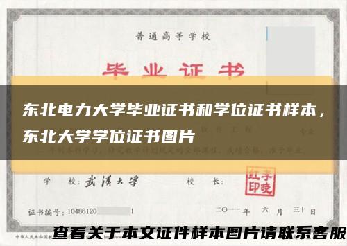 東北電力大學畢業證書和學位證書樣本，東北大學學位證書圖片縮略圖