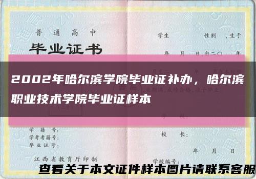 2002年哈爾濱學院畢業證補辦，哈爾濱職業技術學院畢業證樣本縮略圖