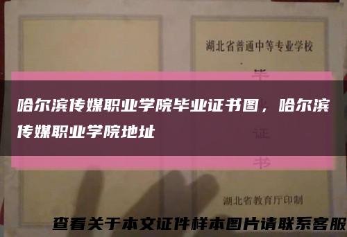 哈爾濱傳媒職業學院畢業證書圖，哈爾濱傳媒職業學院地址縮略圖