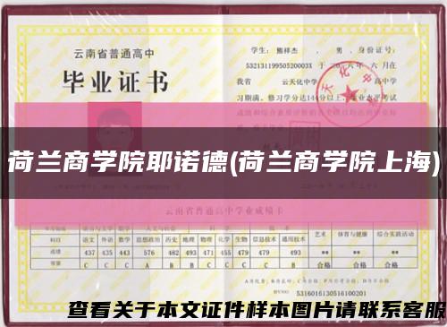 荷蘭商學院耶諾德(荷蘭商學院上海)縮略圖