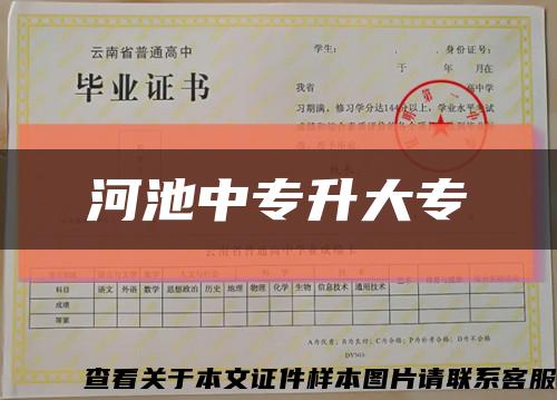 河池中專升大?？s略圖