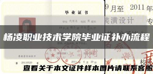楊凌職業技術學院畢業證補辦流程縮略圖