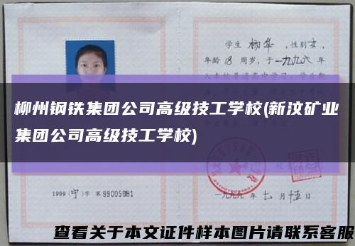 柳州鋼鐵集團公司高級技工學校(新汶礦業集團公司高級技工學校)縮略圖