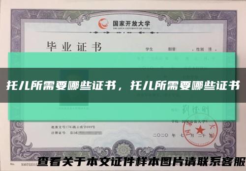 托兒所需要哪些證書，托兒所需要哪些證書縮略圖