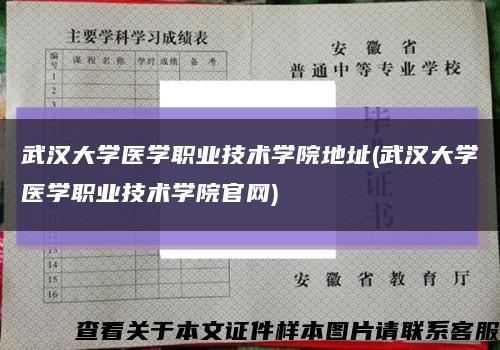 武漢大學醫學職業技術學院地址(武漢大學醫學職業技術學院官網)縮略圖