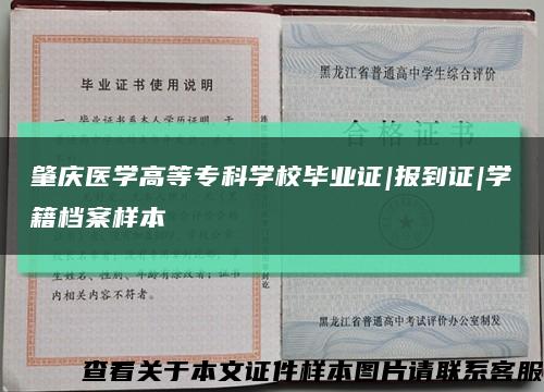 肇慶醫學高等?？茖W校畢業證|報到證|學籍檔案樣本縮略圖