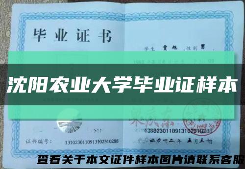 沈陽農業大學畢業證樣本縮略圖