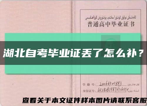 湖北自考畢業證丟了怎么補？縮略圖