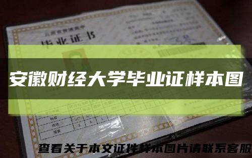 安徽財經大學畢業證樣本圖縮略圖