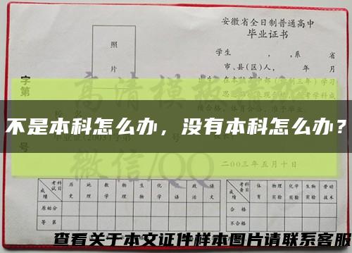 不是本科怎么辦，沒有本科怎么辦？縮略圖