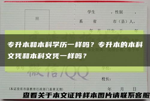 專升本和本科學歷一樣嗎？專升本的本科文憑和本科文憑一樣嗎？縮略圖