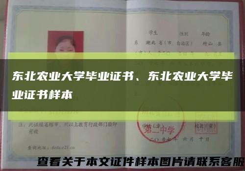東北農業大學畢業證書、東北農業大學畢業證書樣本縮略圖